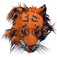 bengal warriorz pkl 11