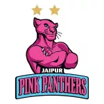 pink panthers emblem