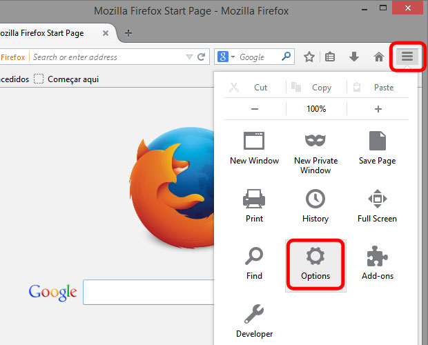 delete-cookie-firefox-01.jpg